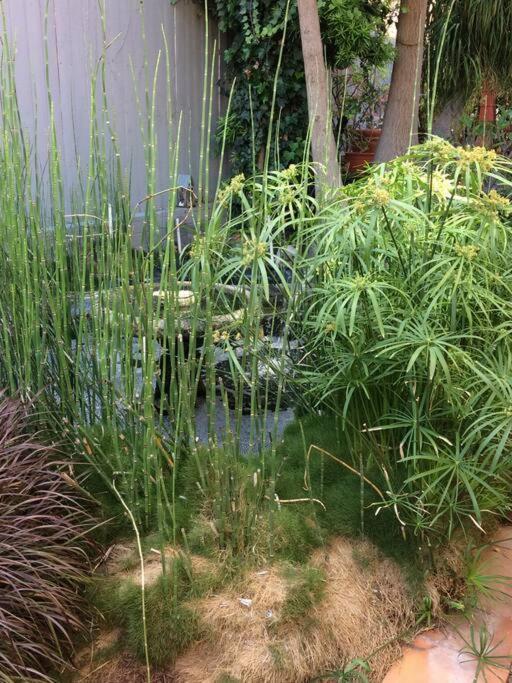 Serenity House Near Gaslamp, San Diego Zoo & Petco Exterior photo